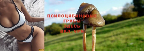 spice Абинск