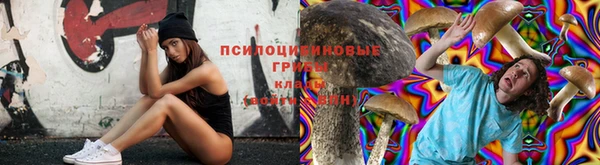 прущие крисы Абдулино