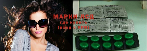 PSILOCYBIN Алзамай
