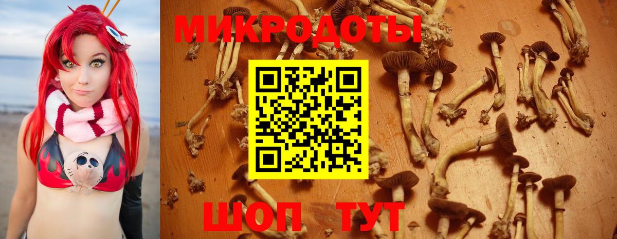 Кемерово  Псилоцибиновые грибы мухоморы  Вход с VPN 